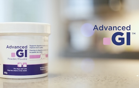 Advanced GI Powder Video Thumbnail