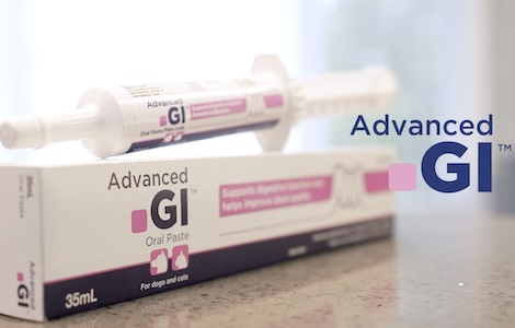 Advanced GI Paste Video Thumbnail